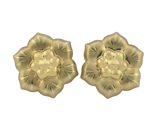 Earrings 14kt