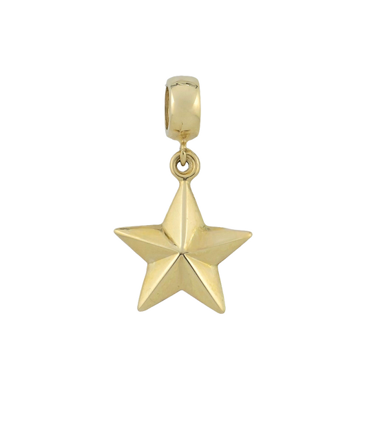 Star Pendant 14kt